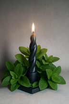 Menta🕯️❄️