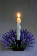 Lavanda 🕯️🪻